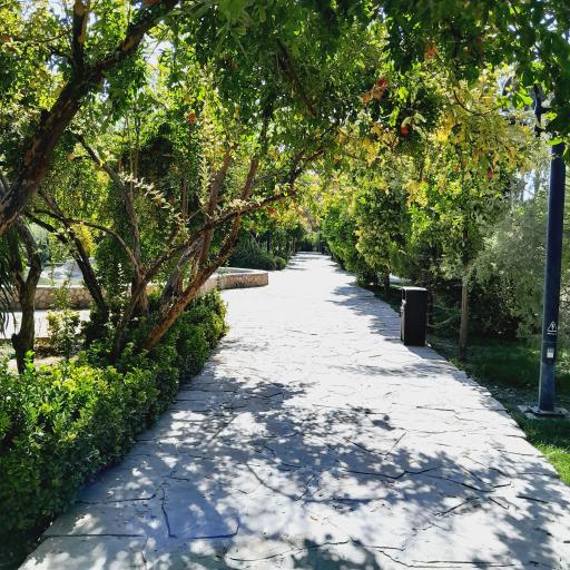 عکس باغ خانواده شمس