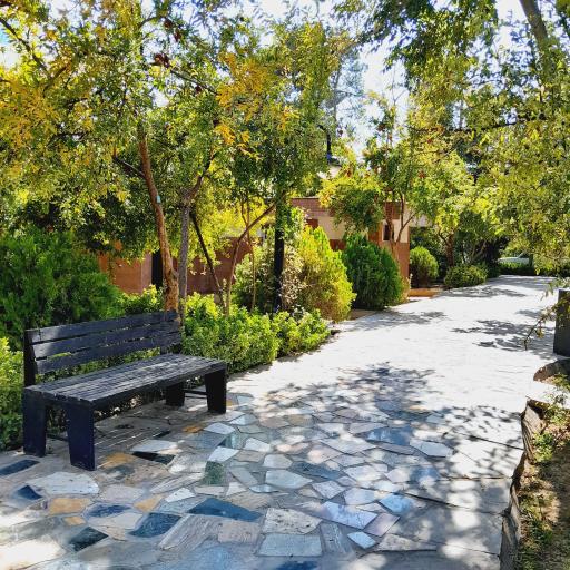 عکس باغ خانواده شمس