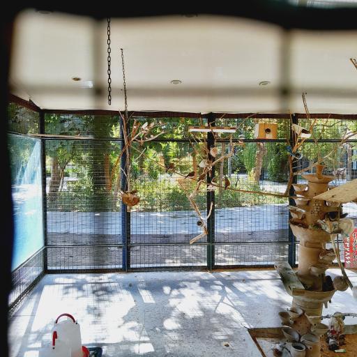 عکس باغ خانواده شمس