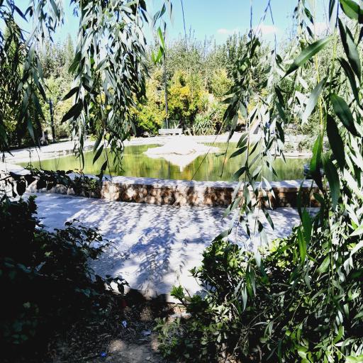 عکس باغ خانواده شمس
