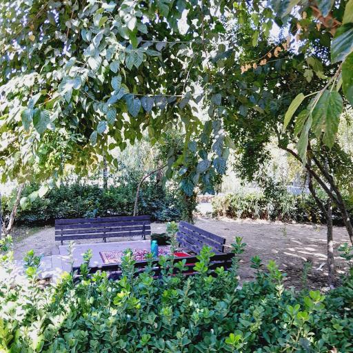 عکس باغ خانواده شمس