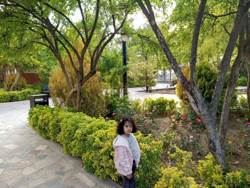 عکس باغ خانواده شمس