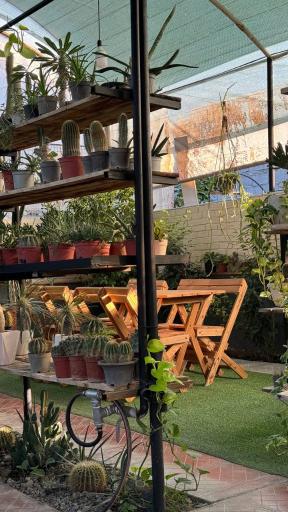 عکس کافه گلخونه