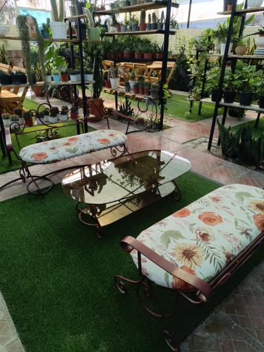 عکس کافه گلخونه