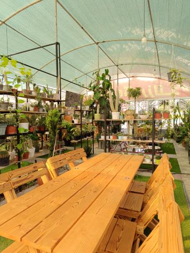 عکس کافه گلخونه