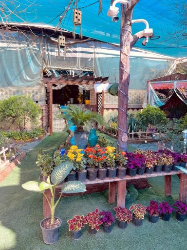 عکس سفره خانه سنتی فرحزاد