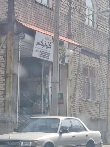 عکس نان فانتزی گل نرگس