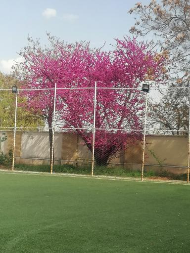 عکس کانون فرهنگی تربیتی تقوا