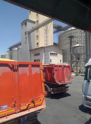 عکس شرکت فرهیختگان زرنام