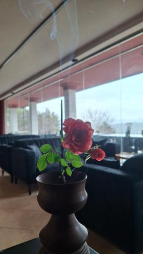عکس کافه رستوران بان چیا