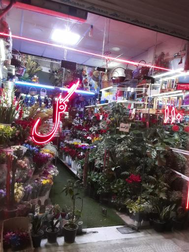 عکس گل فروشی ۱۱۰