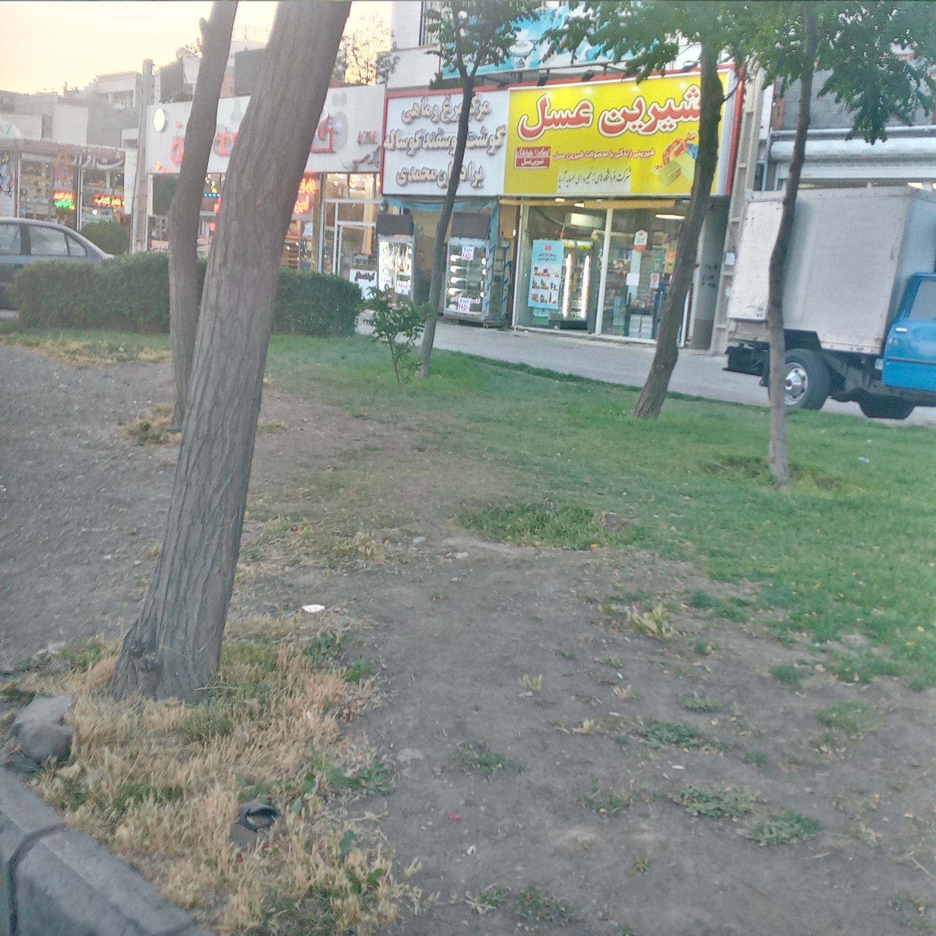 عکس شیرین عسل شعبه شهرک کارشناسان فاز ۲