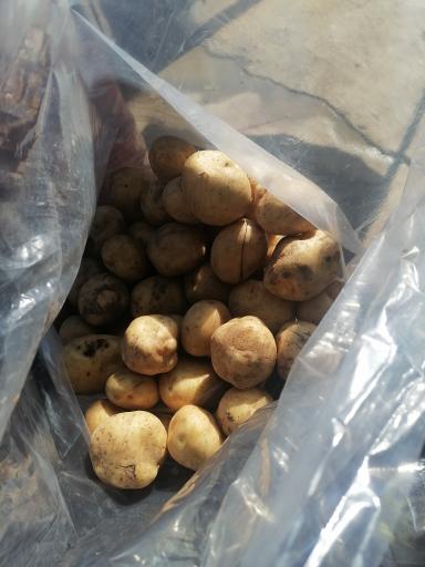 عکس سبزی و میوه فروشی علی 