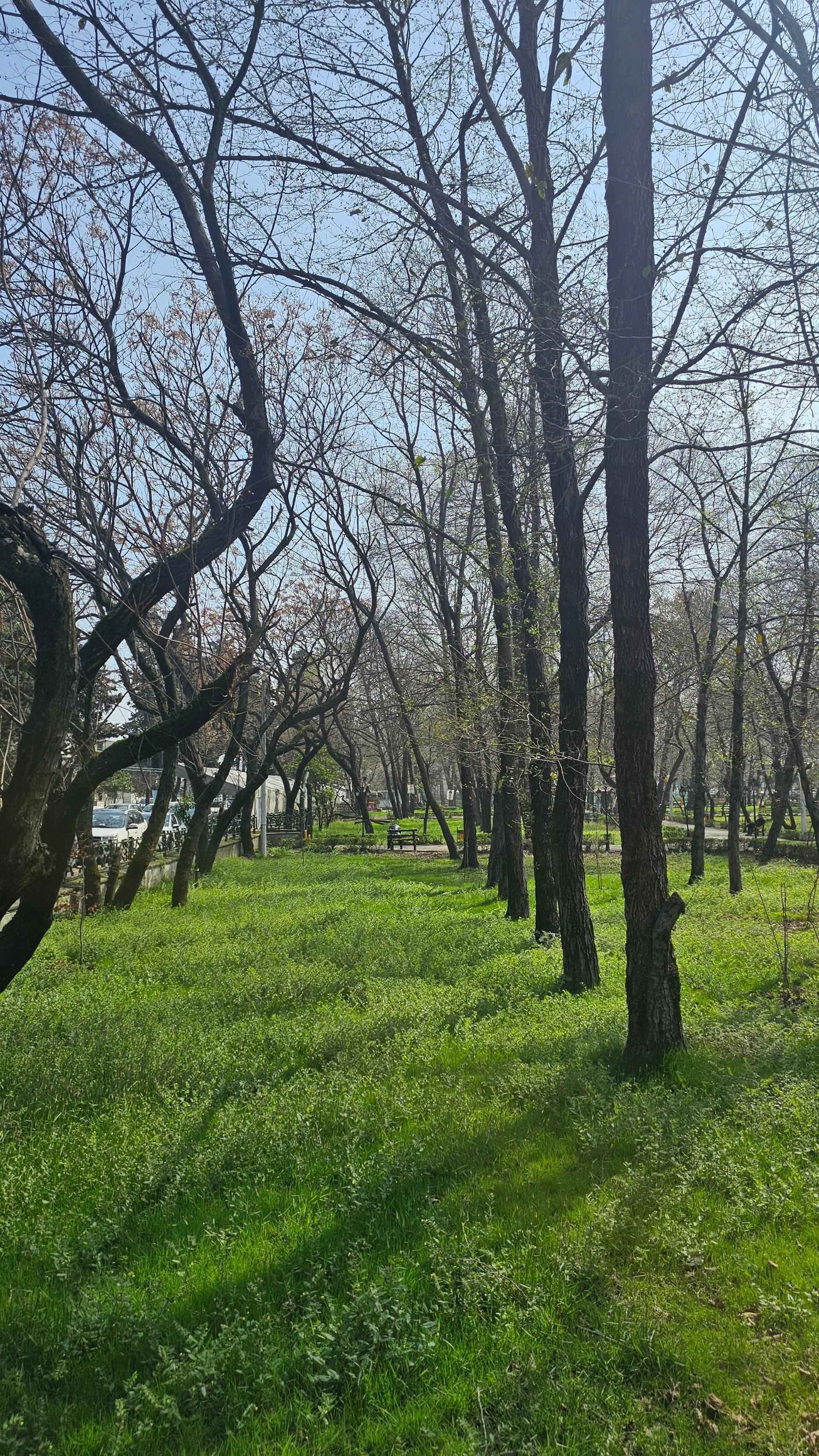 عکس بوستان نوید