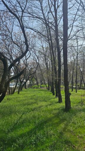 عکس بوستان نوید