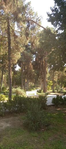 عکس بوستان دانش
