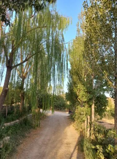 عکس پارک دلجو