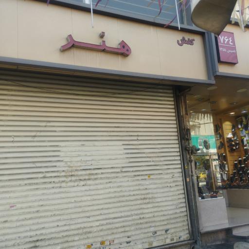 عکس کفش هنر