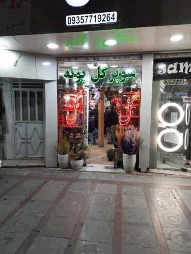 عکس گل فروشی گل پونه