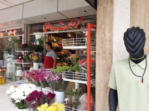 عکس گل فروشی سرو نقره ای