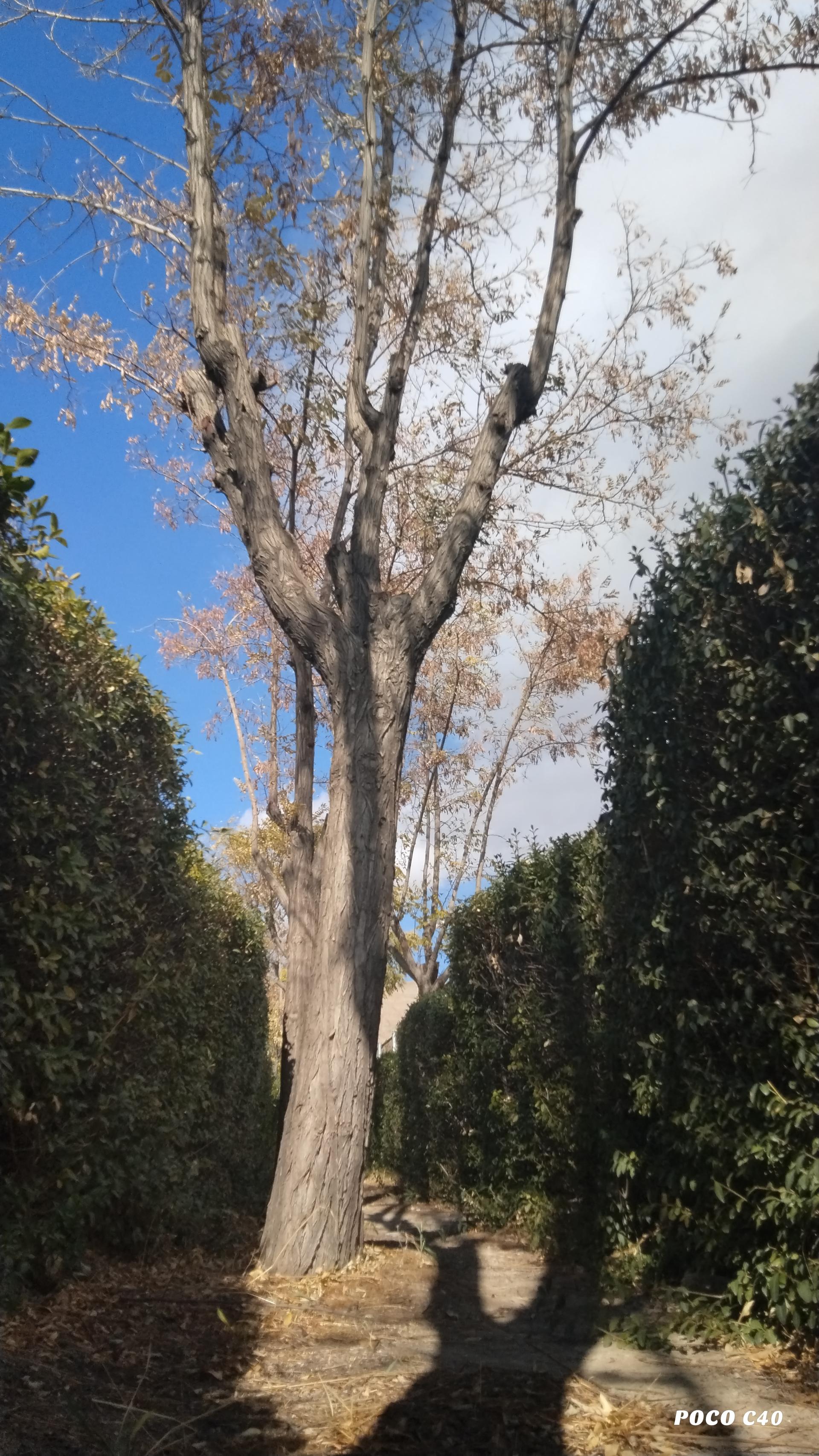 عکس پارک تپه سنگی