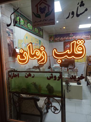 عکس مشاور املاک قلب زمان