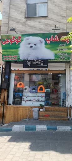 عکس پت شاپ گوگوجی