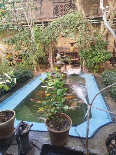 عکس رستوران خانه تاریخی طباطبائی