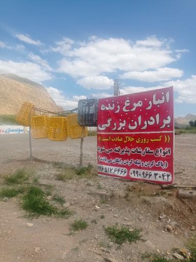 عکس انبار مرغ بزرگی