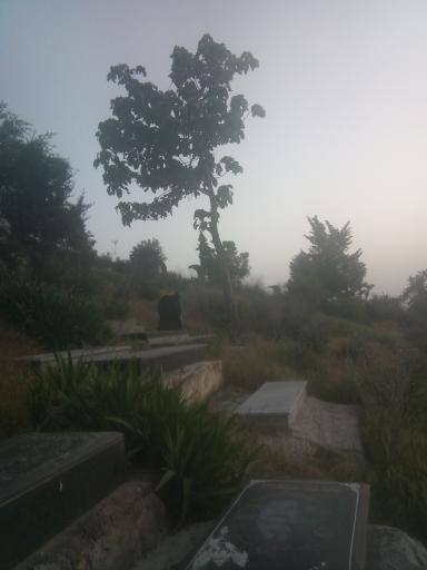 عکس آرامستان اکبرآباد