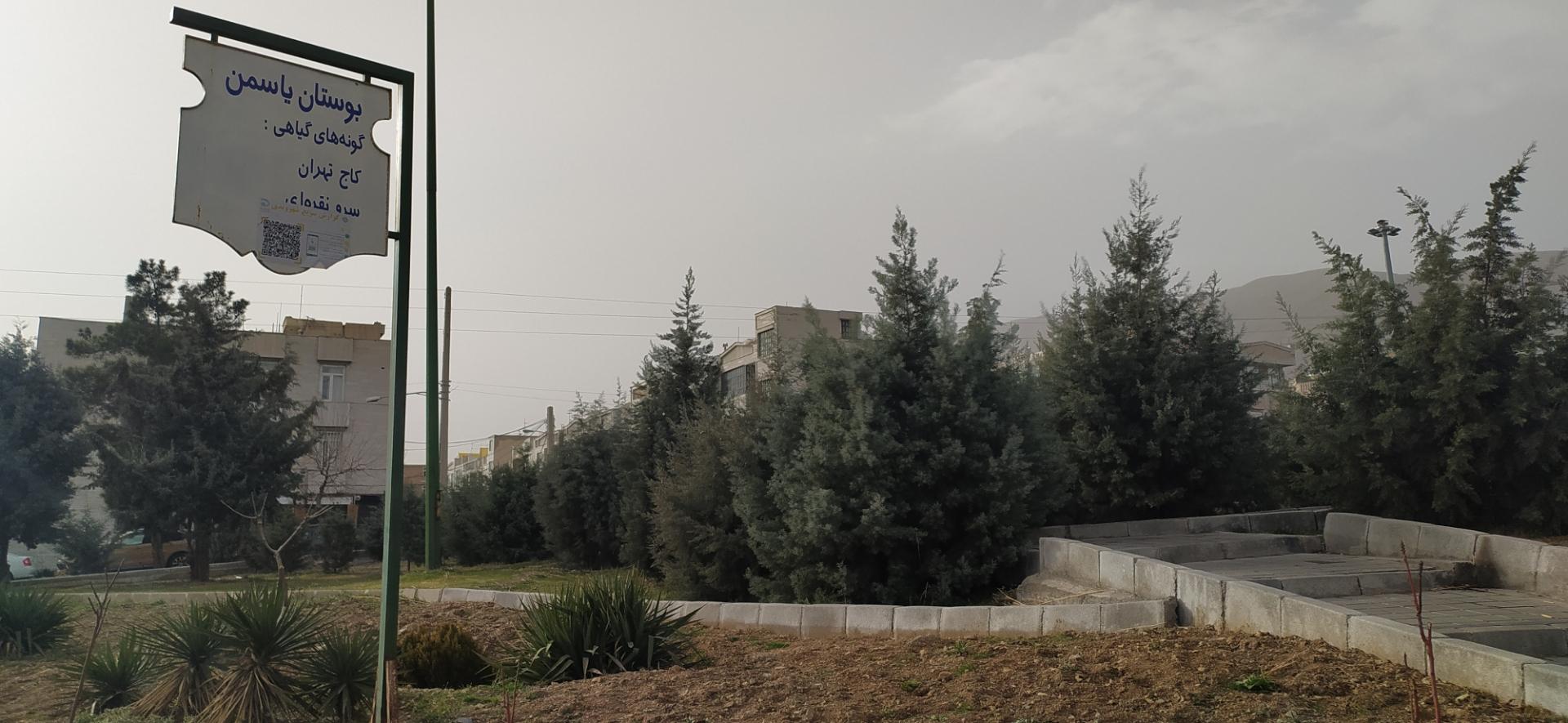 عکس بوستان یاسمن