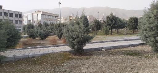 عکس بوستان یاسمن