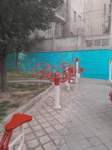 عکس بوستان گل مریم