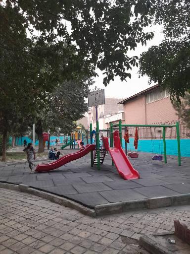 عکس بوستان گل مریم