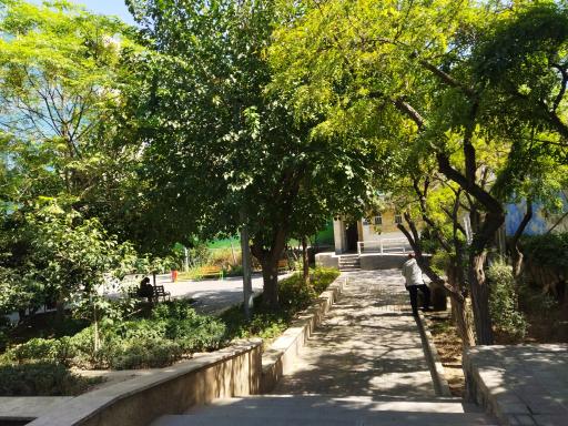 عکس پارک آیینه