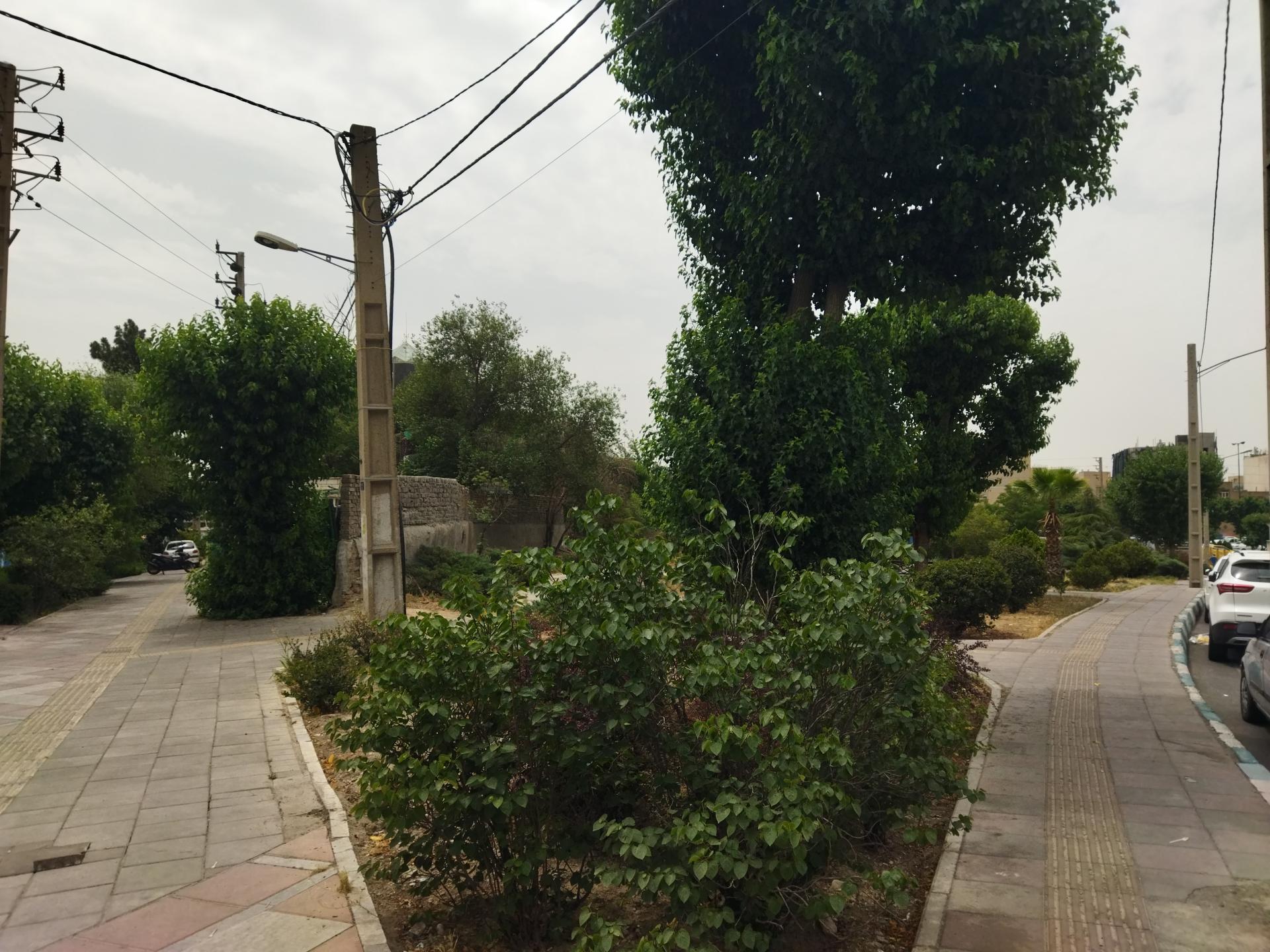 عکس بوستان گلناز