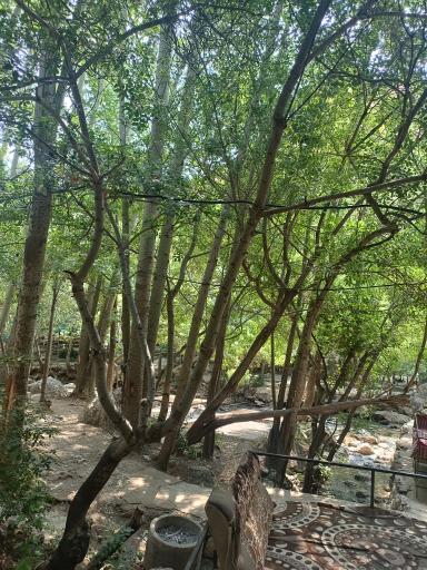 عکس باغ گردشگری کدخدا پیرغار