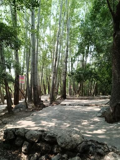 عکس باغ گردشگری کدخدا پیرغار