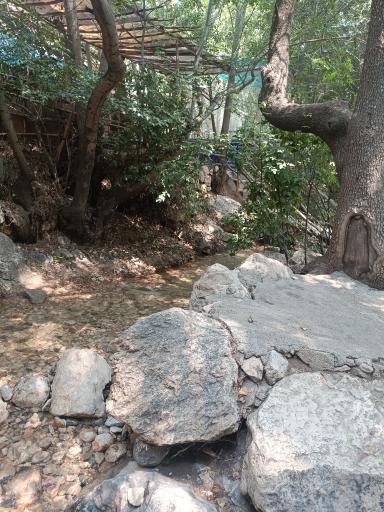 عکس باغ گردشگری کدخدا پیرغار