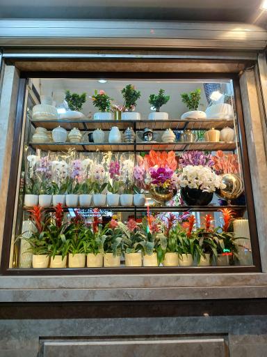 عکس گلفروشی گلستان شاهرخی