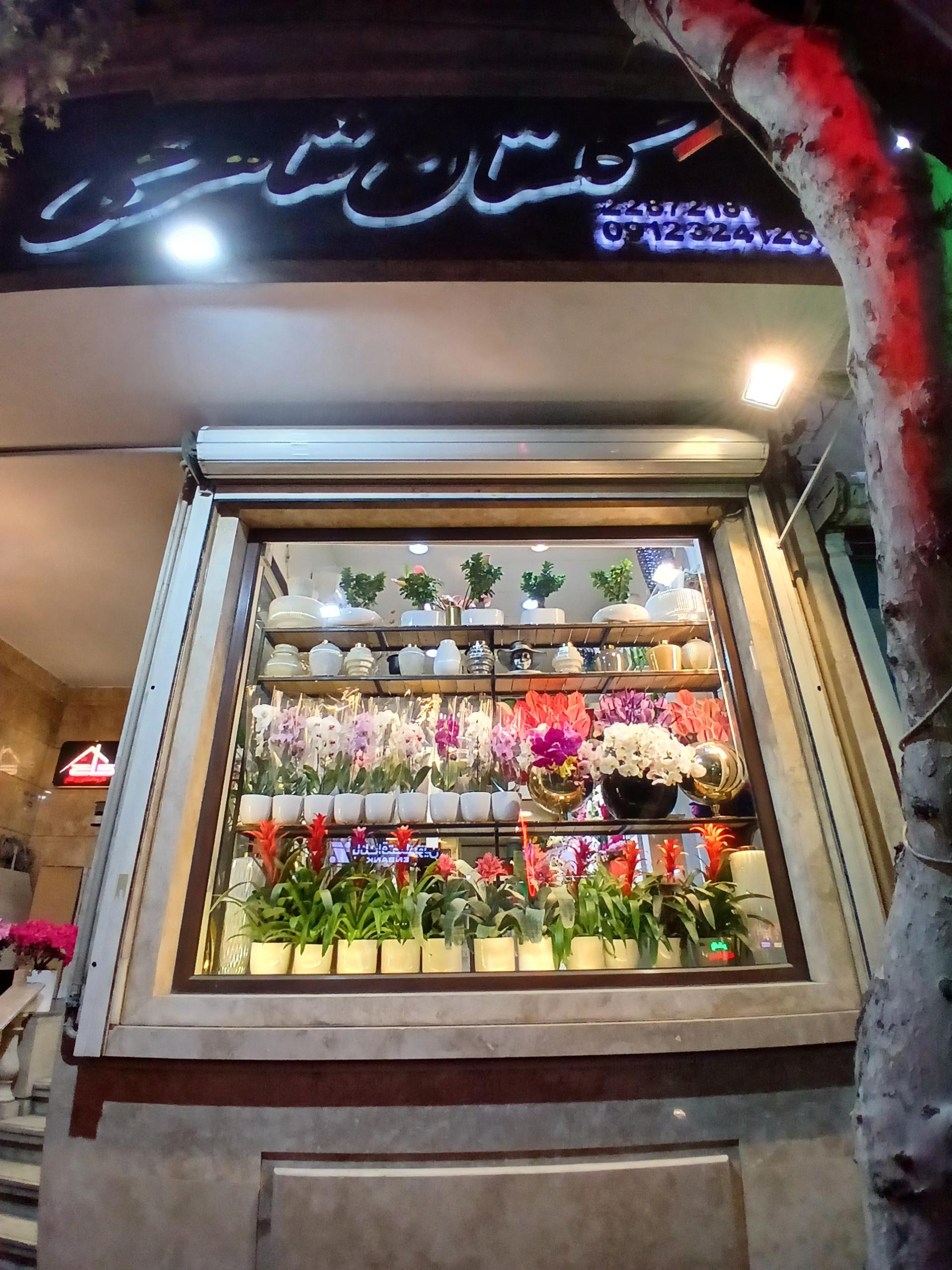 عکس گلفروشی گلستان شاهرخی