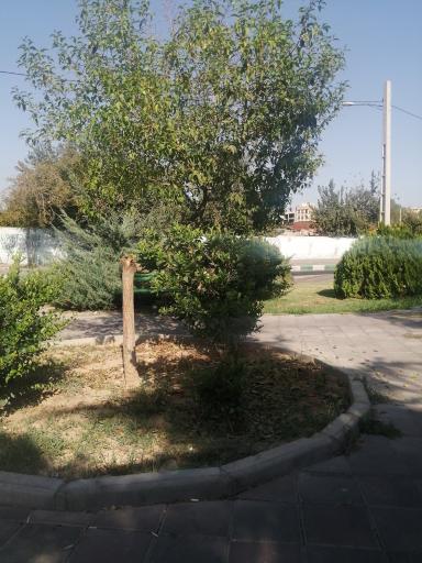 عکس بوستان گلناز