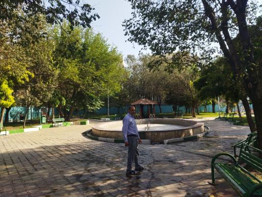 عکس بوستان گل مریم