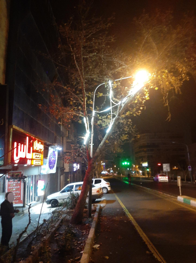 عکس رستوران یاس