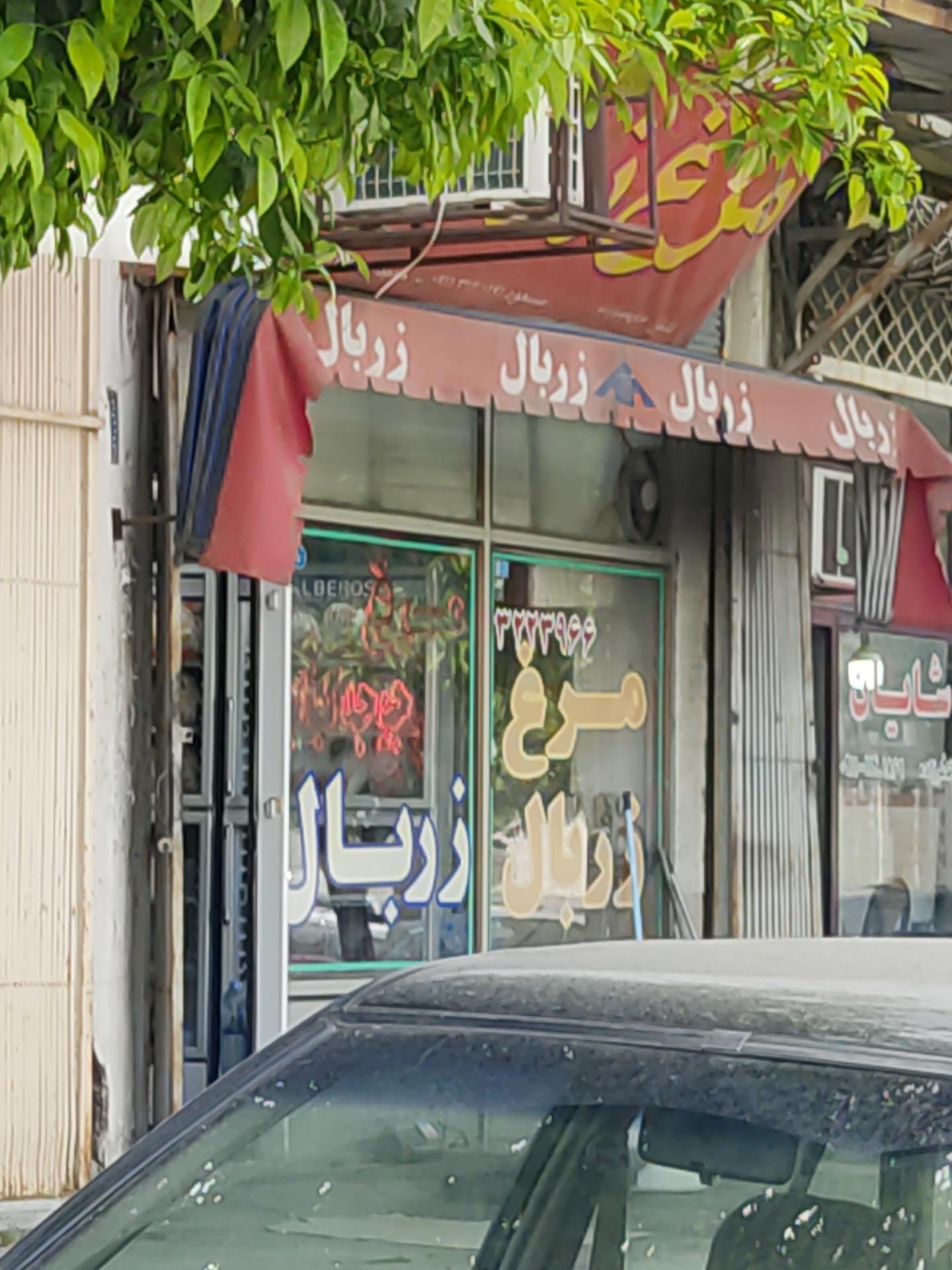 عکس مرغ زربال