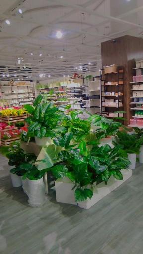 عکس مرکز خرید چینی ها (دیوار بزرگ چین)