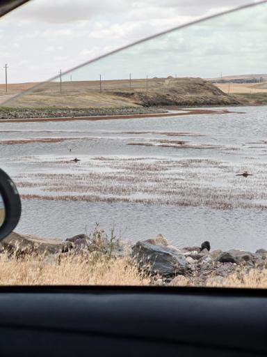 عکس دریاچه شورگلی