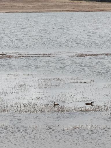 عکس دریاچه شورگلی