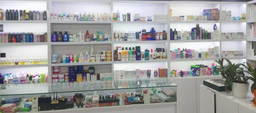 فروشگاه زیپلین