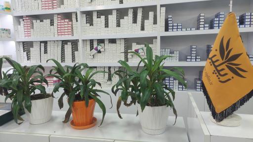 عکس فروشگاه زیپلین